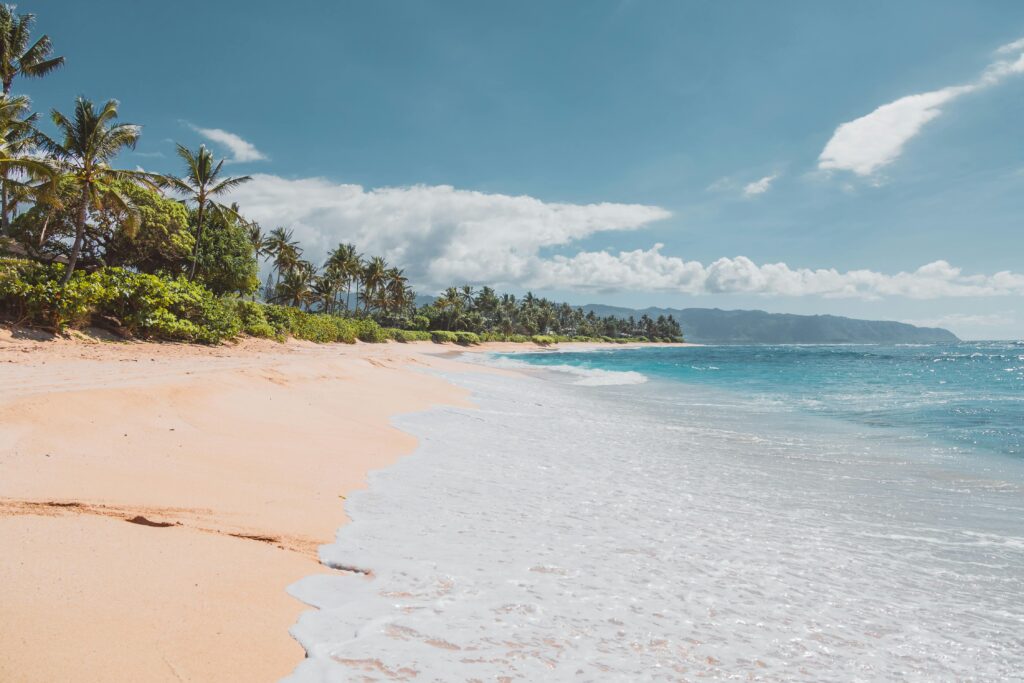 A serene Hawaiian beach with clear skies, pristine sand, and lush palm trees.